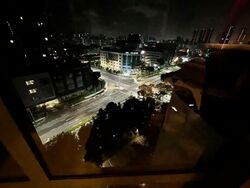 Tanglin Regency (D10), Condominium #543873051